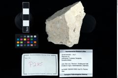 Foto (Objekt + Etikett) von Pithonoton sp.  (NHMW-GEO-2014-0194-0285)